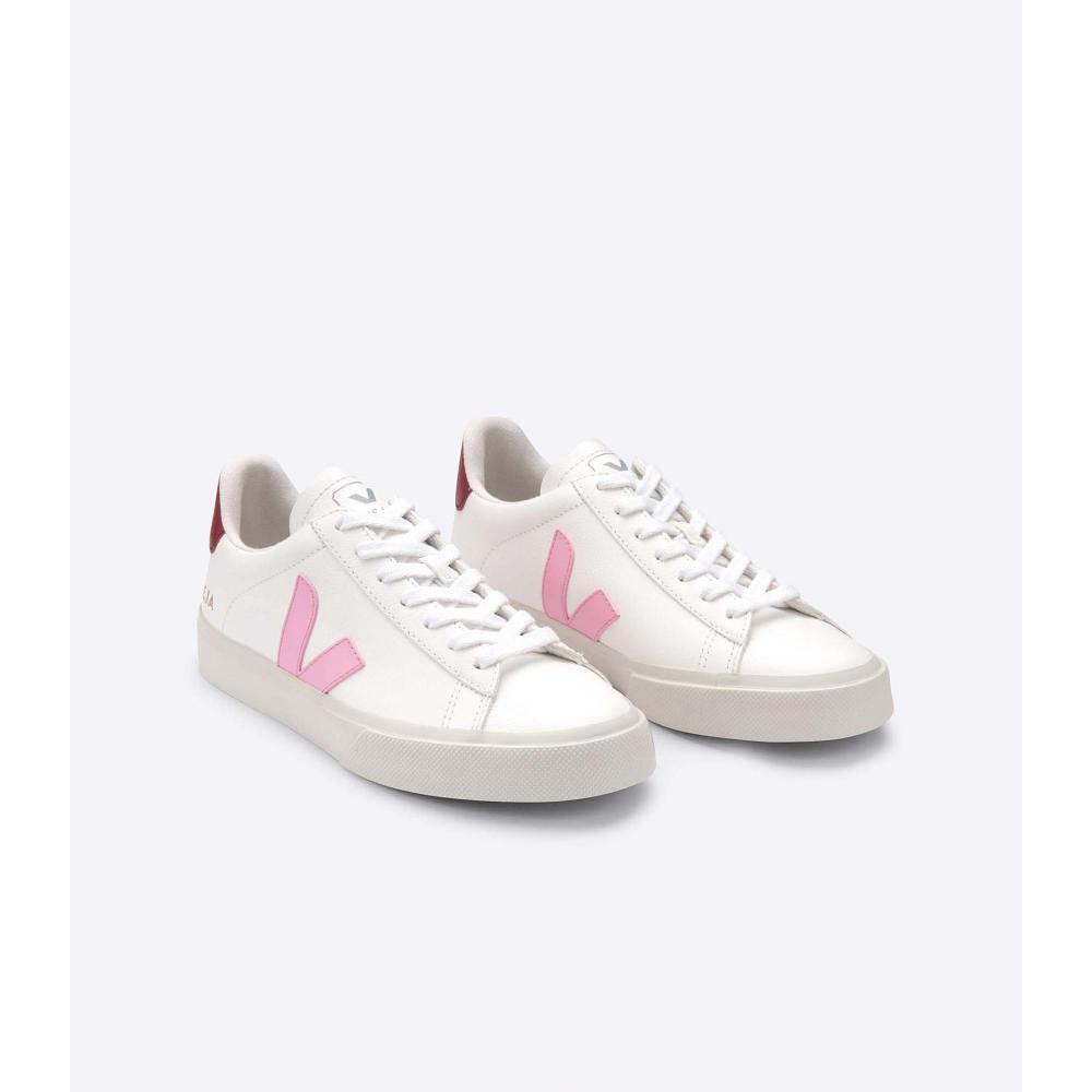 Veja CAMPO CHROMEFREE Low Tops Sneakers Panske White/Pink | SK 293YXF